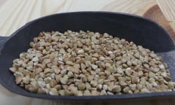 La Ferme des Ecureuils - Sarrasin décortiqué Bio – 5kg
