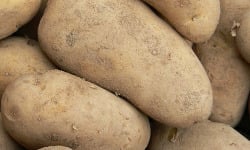 Mon Petit Producteur - Pomme De Terre Bio NOUVELLE MAIWEN - Variété À Chair Tendre [vendu Par 1 Kg]+