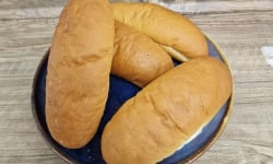 Graines de Créateurs - Sachet de 4 hot dog classiques