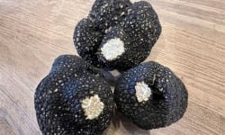 JMC Truffes - Truffes fraîches d'été tuber aestivum 100 G
