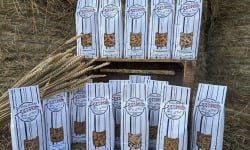 Des pâtes Briardes épi c'est tout ! - Lot découverte "pâtes natures" - 6 variétés (15 paquets)