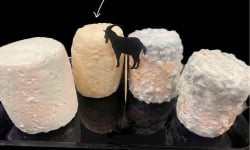 Ferme les Avoineries - Grand chèvre mi sec x4