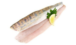 Ma poissonnière - Filet De Sandre - Lot De 600 G