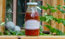 L'Arbocal - Ketchup Maison Épicé - BIO - 250g