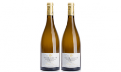 Domaine Tupinier Philippe - Bourgogne Côte D'Auxerre Blanc 2019 - 2 Bouteilles De 75 Cl