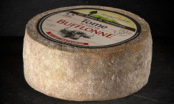 Les Affineurs des Volcans - Tome au Lait de Bufflonne Entier 2,5 kg