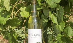 Domaine la Paganie - Vin blanc Bio - Petit blanc - 1 bouteilles