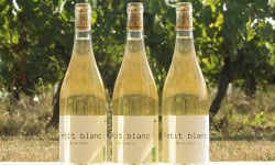 Domaine la Paganie - Vin blanc Bio - Petit blanc - 3 bouteilles