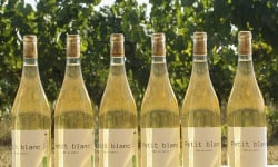Domaine la Paganie - Vin blanc Bio - Petit blanc - 6 bouteilles