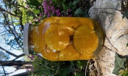 L'OLIVERAIE DU COUDON - Pêches Entières au Sirop 3000g