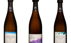 Champagne Confluence - Coffret Découverte – 3 Champagnes 3x75cl