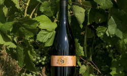 Domaine la Paganie - Vin Rouge de Cahors élevé en Amphore - LA TERRE 2023 - 1 bouteille