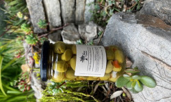 L'OLIVERAIE DU COUDON - Olives Farcies aux Poivrons en pot 290GR