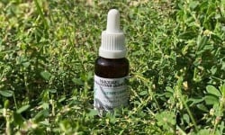 Lou Codou, microferme du Caillou - Mâcérat : Nous les femmes - 30ml
