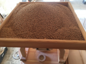 Farine de blé T65 vrac 5 kg Bio, locale, moulue à la meule de pierre