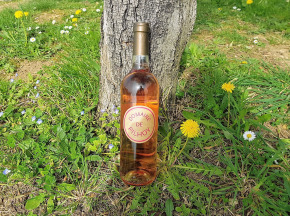 Bouteilles Bordelaises En Verre 750 Ml - Lot De 20, Pour Vin, Hauteur 29 Cm