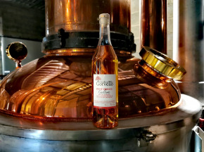 Gin Oriant 1672 – Médaillé d'Or Vinalies 2025 – Gorvello
