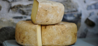 Tous nos fromages bio