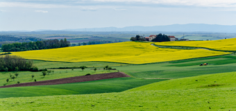 Produits de la Lorraine