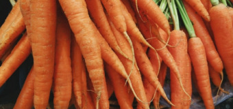 Tous nos légumes bio