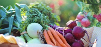 Paniers de légumes