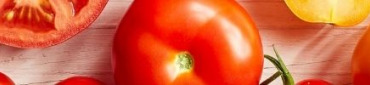 Nos&#x20;tomates&#x20;en&#x20;direct&#x20;des&#x20;producteurs&#x20;-&#x20;En&#x20;agriculture&#x20;Bio&#x20;ou&#x20;Raisonn&#x00E9;