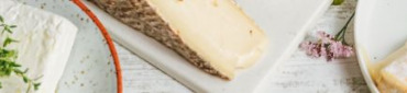 Herbes&#x20;aromatiques&#x20;et&#x20;fromages