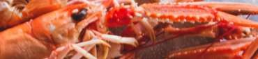 Langoustes&#x20;et&#x20;langoustines