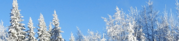 Menu du mois : janvier
