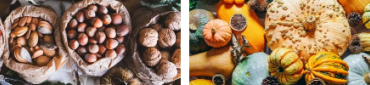 Pépites d'automne