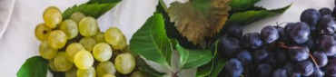 Accords mets &amp; Vins