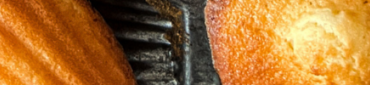 Nos madeleines