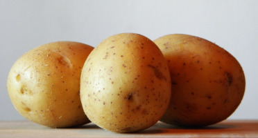 Le Châtaignier - Pommes De terre Agatha - 14kg