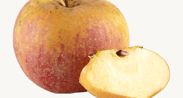 Les Côteaux Nantais - Pomme Reinette Des Côteaux Ab&demeter - 8kg