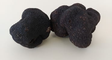 ALENA la Truffe d'Aquitaine - Truffe Noire Du Périgord Fraiche Tuber Melanosporum - 1ère Catégorie - 100g