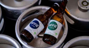 Appie - Bière APPIE - Pack Découverte 12 x 33cl
