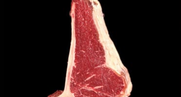 Le Goût du Boeuf - New York Steak Avec Os d'Aubrac 475 g