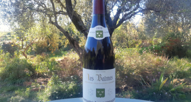 Domaine des Bernardins - Domaine des Bernardins - AOC Côtes du Rhône Rouge 2020 "les Balmes" - 6 bouteilles