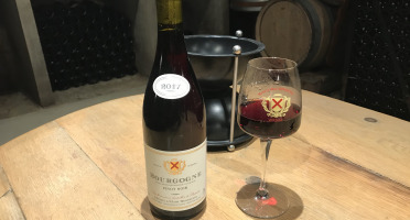 Domaine Michel & Marc ROSSIGNOL - Bourgogne "Pinot Noir" 2017