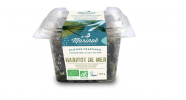 Marinoë - Algue fraiche " Haricot de mer"