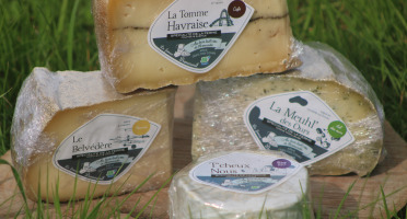 Ferme Dumesnil - Plateau de Fromages Originaux : Tommes et Camembert