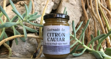 Le Jardin des Antipodes - Extrait de Citron Caviar