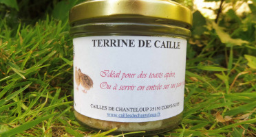 Cailles de Chanteloup - Lot de 10 terrines de cailles 90gr (7 nature + 3 au pineau des Charentes)