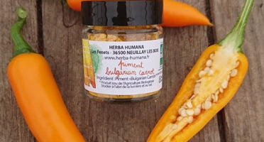 HERBA HUMANA - Piment Bulgarian Carrot - 12g