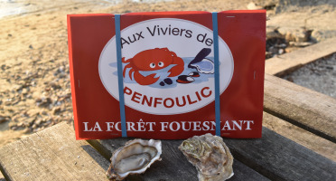 Aux Viviers de Penfoulic - Huîtres Creuses N°2 - 4 Douzaines