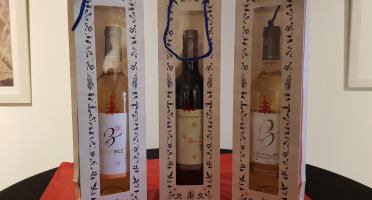 Domaine de Bilé - 3 Sacs Coffrets Cadeaux de Noël - 3 Bouteilles IGP Vin Côtes de Gascogne