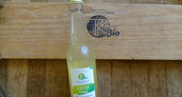 TK Bio - The Kefir et Kombucha Compagnie - Kéfir Pomme – 12x33cl