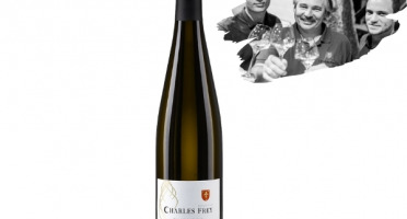 Réserve Privée - AOC Alsace Bio - Charles Frey - Pinot Gris Cuvée de l'Ours Blanc