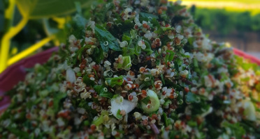 Graines Précieuses - Le Savoureux Taboulé Maison Quinoa Bio Et Ses Herbes Fraîches