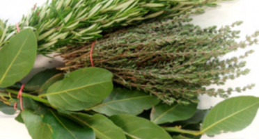 Les Herbes du Roussillon - Mixte Thym Laurier Romarin Frais